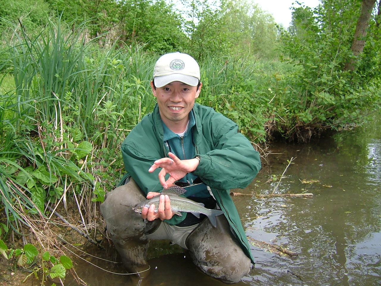 Shin & grayling
